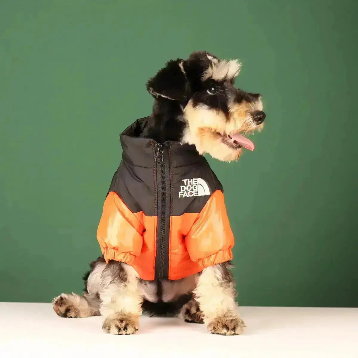 Norvo | Die Dog Face Jacket - Type A