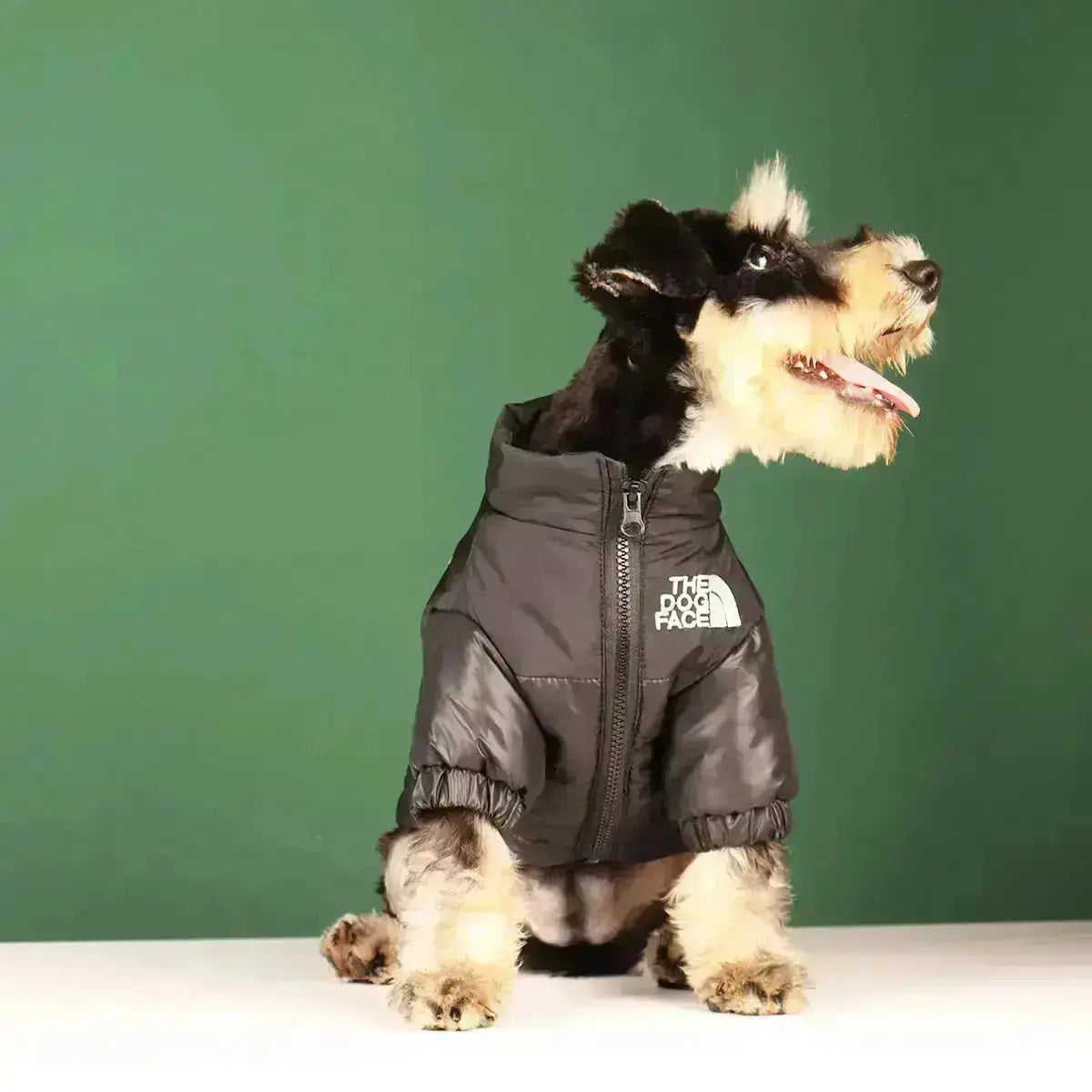 Norvo | Die Dog Face Jacket - Type A