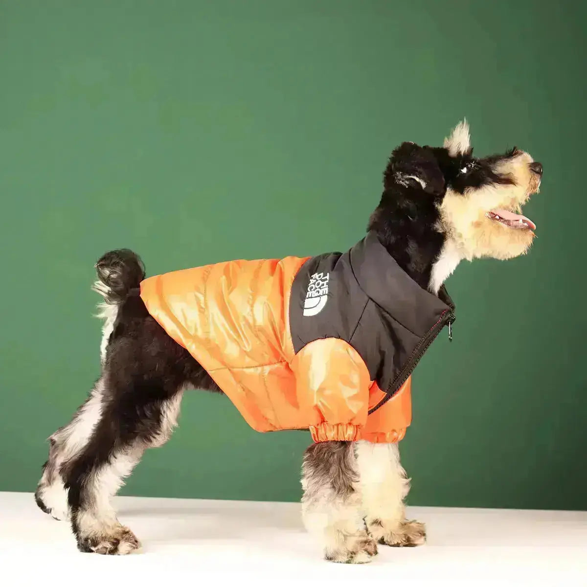 Norvo | Die Dog Face Jacket - Type A