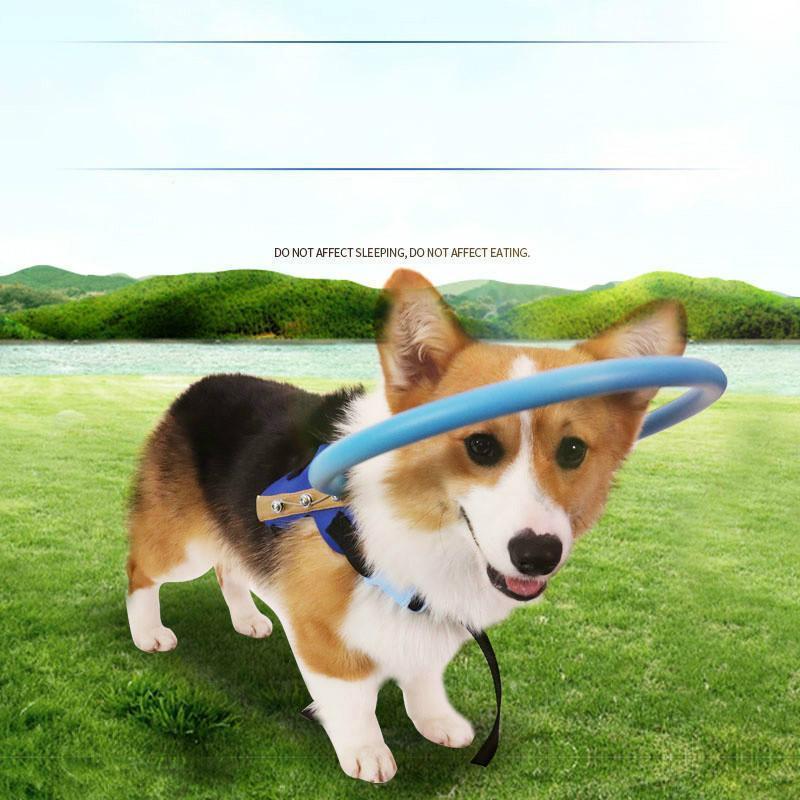 Norvo | Bumper Collar Guide For Blind Dogs Harness