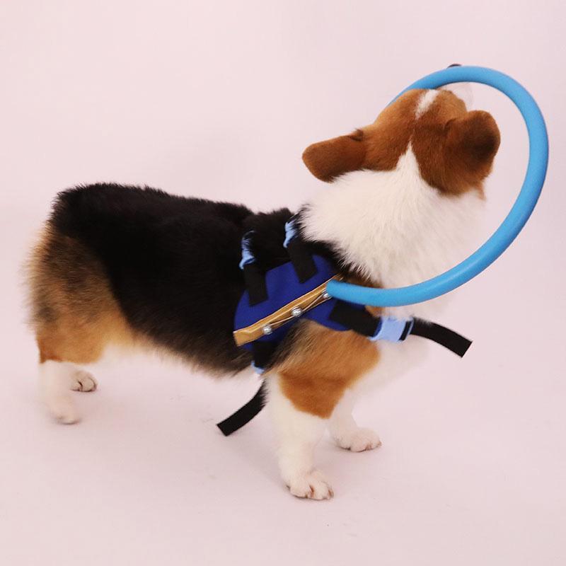 Norvo | Bumper Collar Guide For Blind Dogs Harness