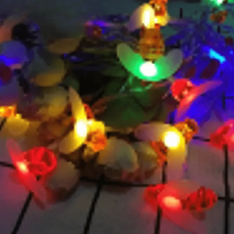 Norvo | Bærekraftig glød for hagen