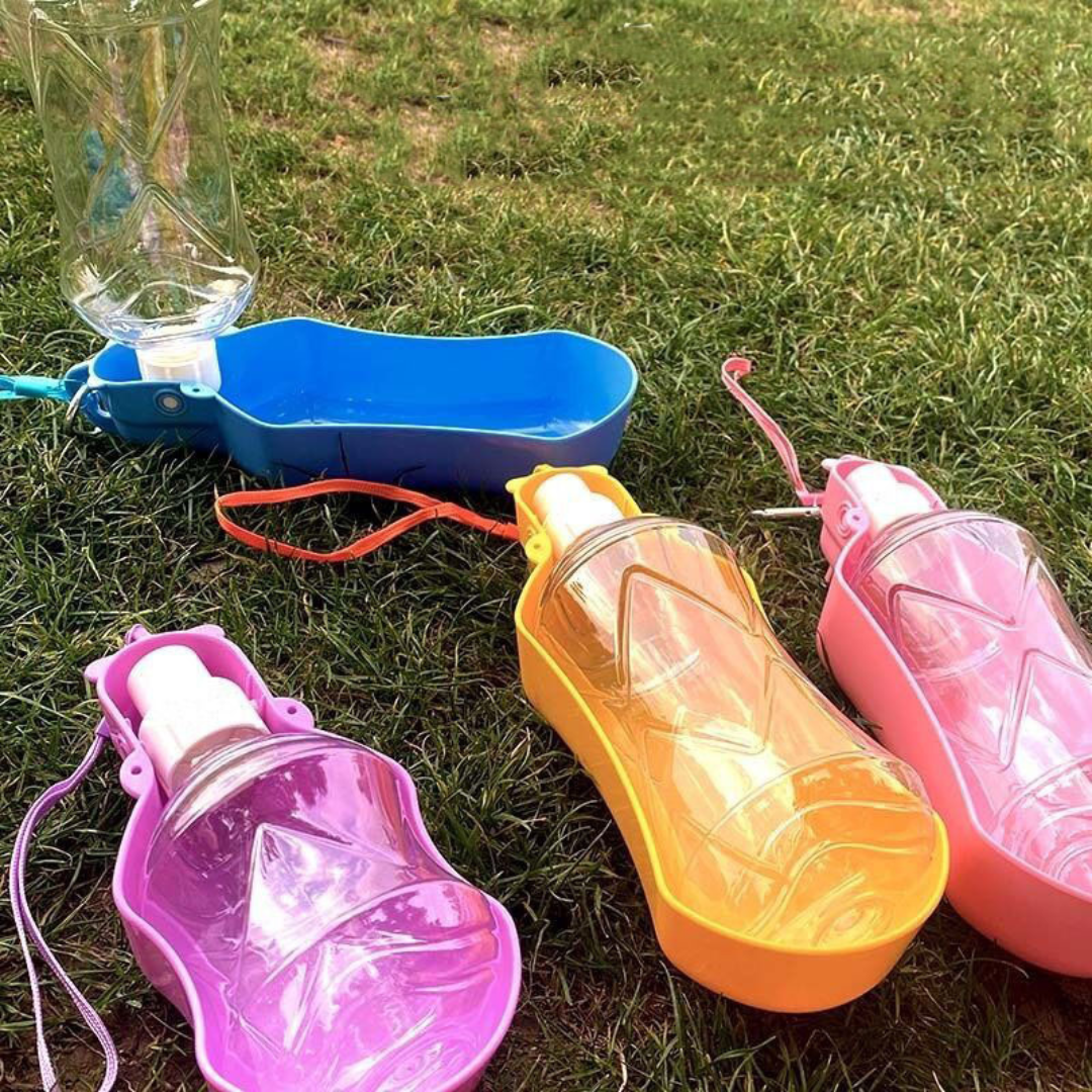 Praktisk hund vannflaske Norvo