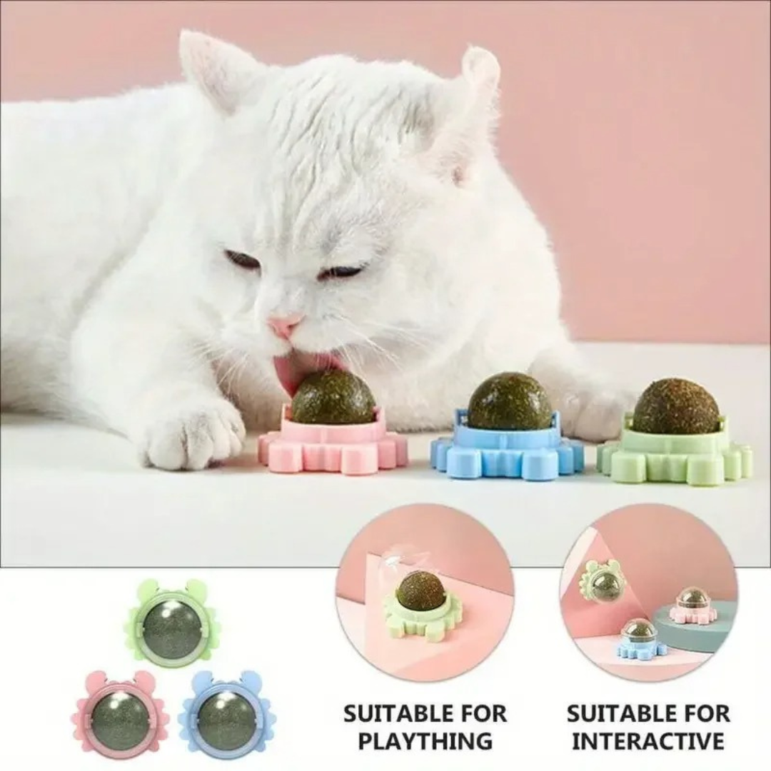 Catnip ball Norvo