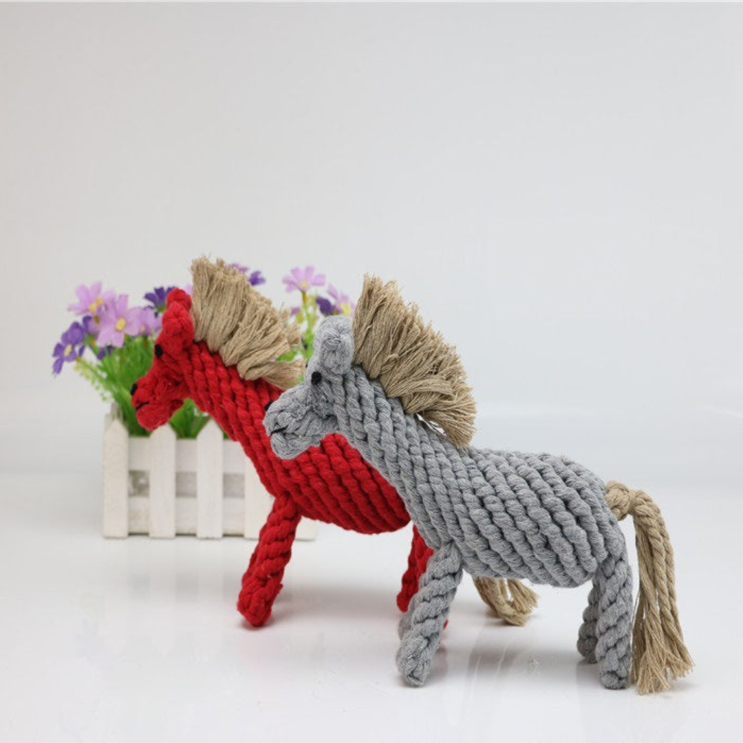 Holdbart Chew og Tug Lekesett for Hund Norvo