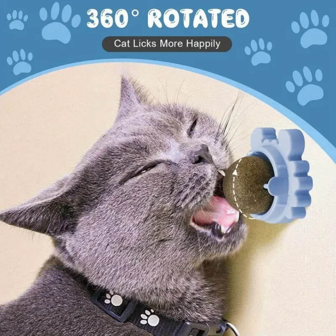Catnip ball Norvo