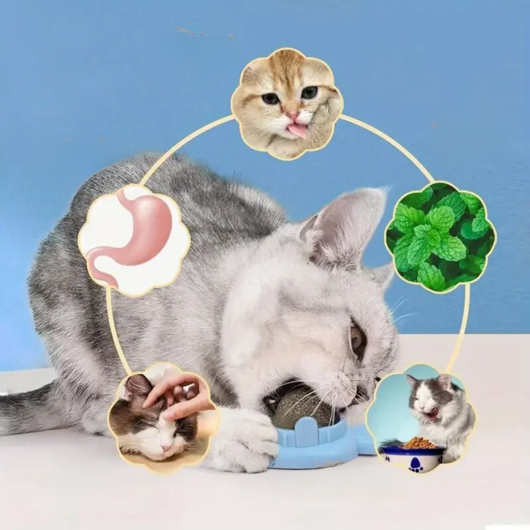 Catnip ball Norvo