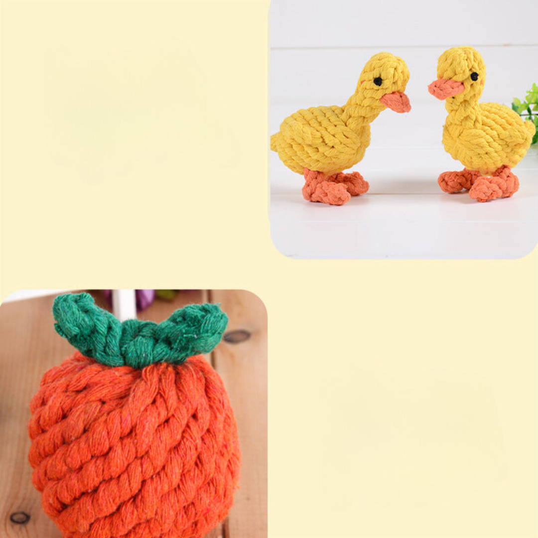 Holdbart Chew og Tug Lekesett for Hund Norvo