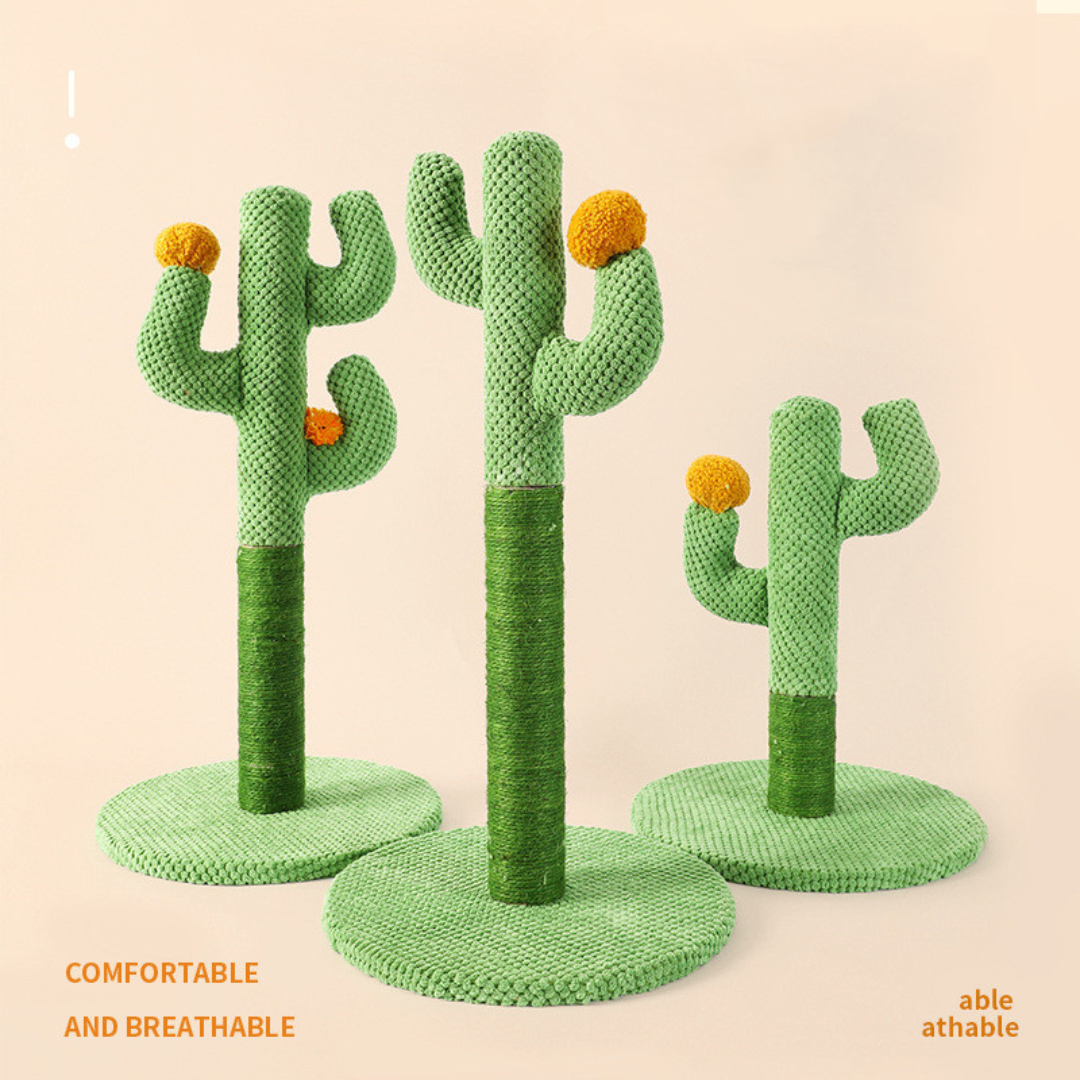 Kaktus Katt Klorestilling Norvo