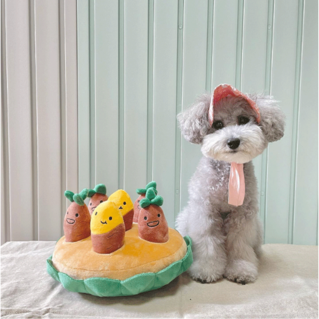 Snuffle Hageleketøy for Kjæledyr Norvo