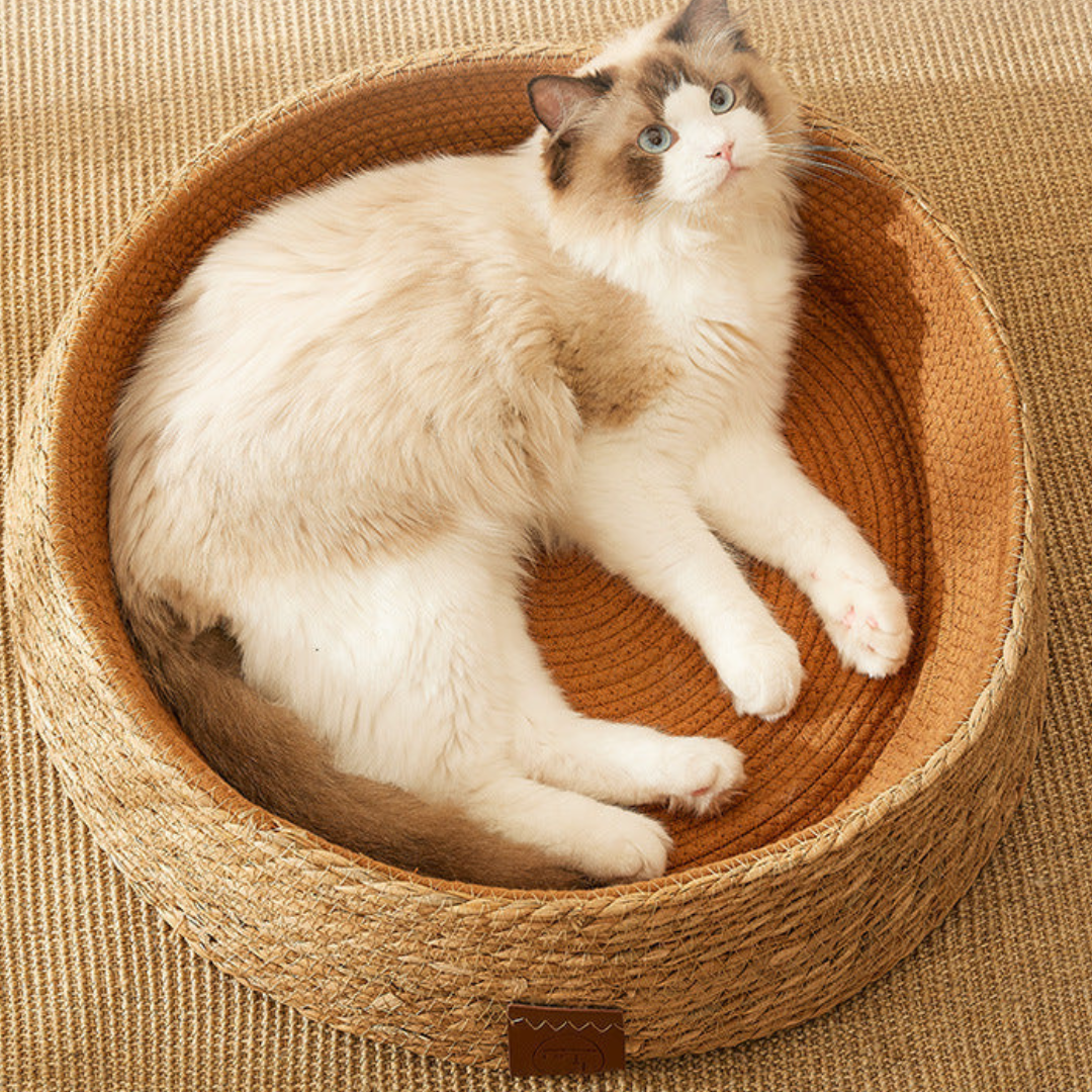 Håndvevd rattan katt klore seng Norvo