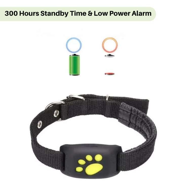 Norvo | #1 Finn GPS Katt Tracker med Sanntidsplassering, Vanntett Design, og Aktivitetsovervåking for Kæledyrssikkerhet og Sporing