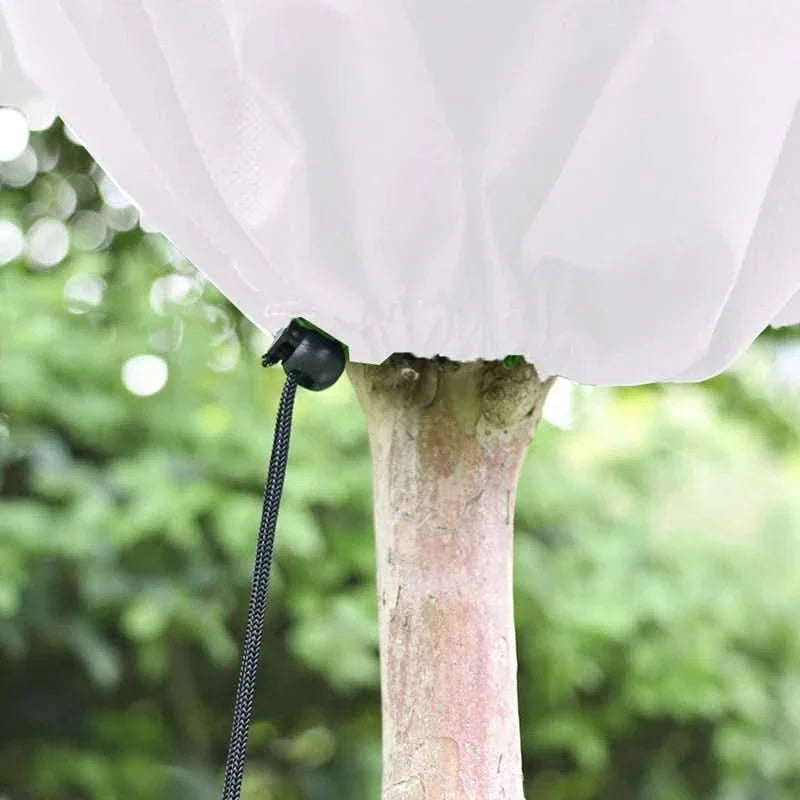 Norvo | COEN – Enkel og miljøvennlig dekning