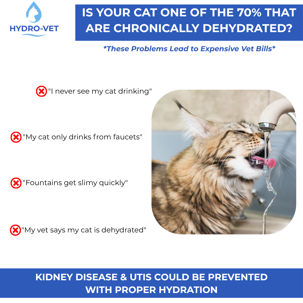 Norvo | AquaSoft Hviskende Stille Drikkefontene for Kjæledyr – 3.2L med LED, Rustfritt Stål & 5-Trinns Filtrering