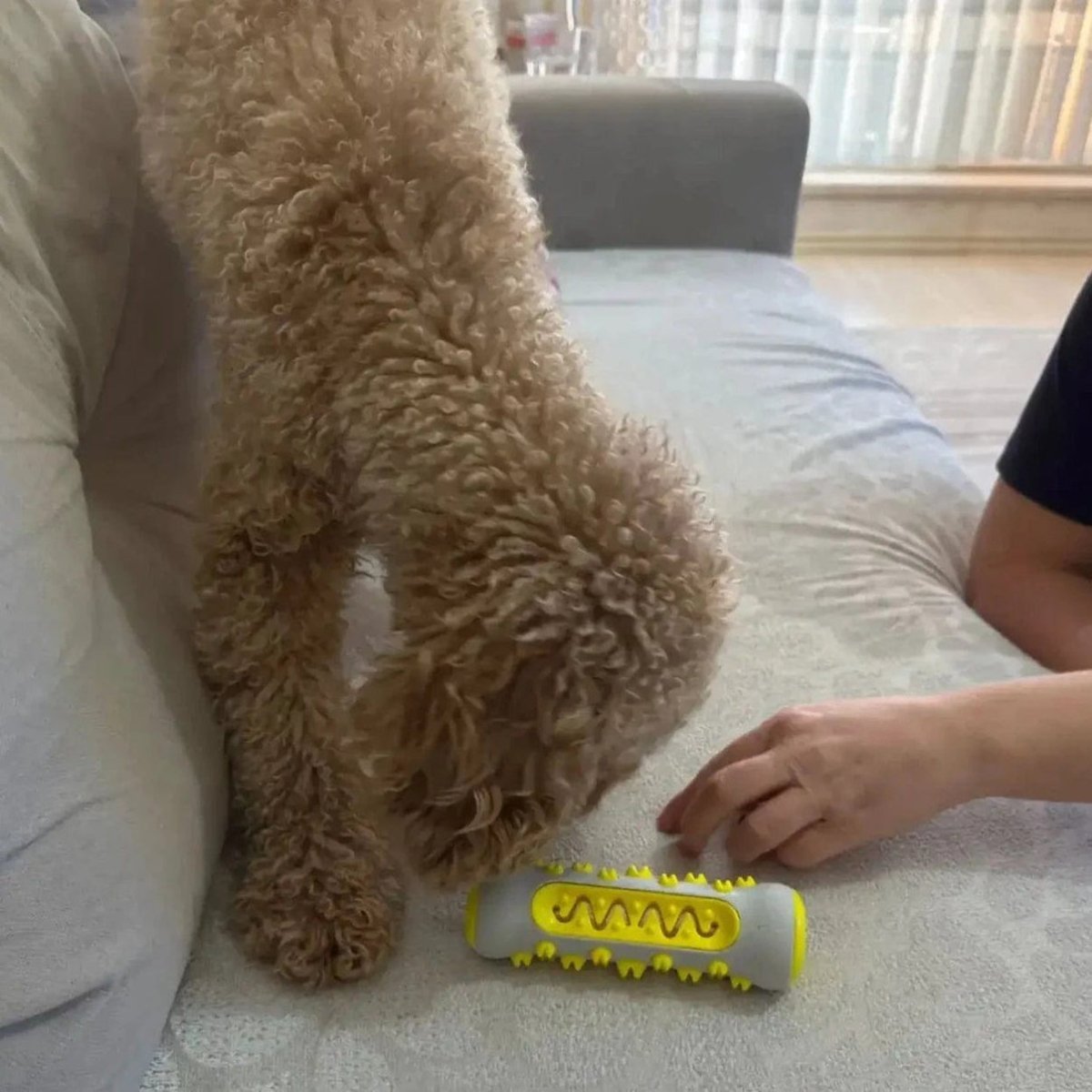 Norvo | Aromatisk hundelek med mild urterinfusjon