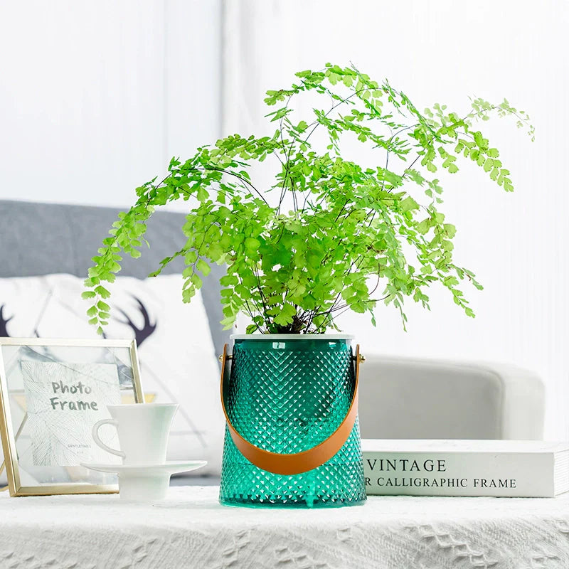 Norvo | Selvvannende innendørs sukkulent hydroponisk plantepotte med håndtak