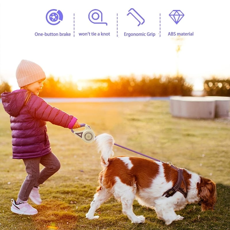 Norvo | Lysende bånd for kjæledyr