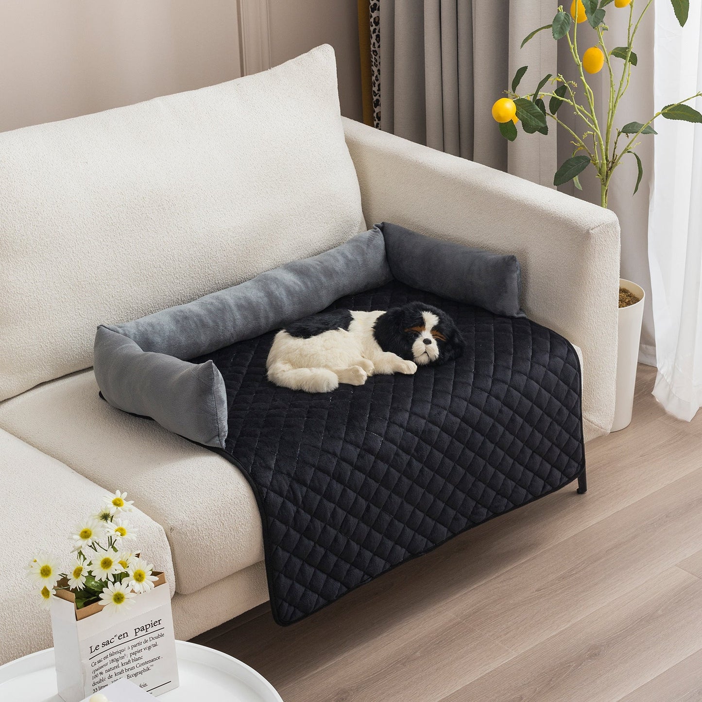 Norvo | Hundesofa med pute.