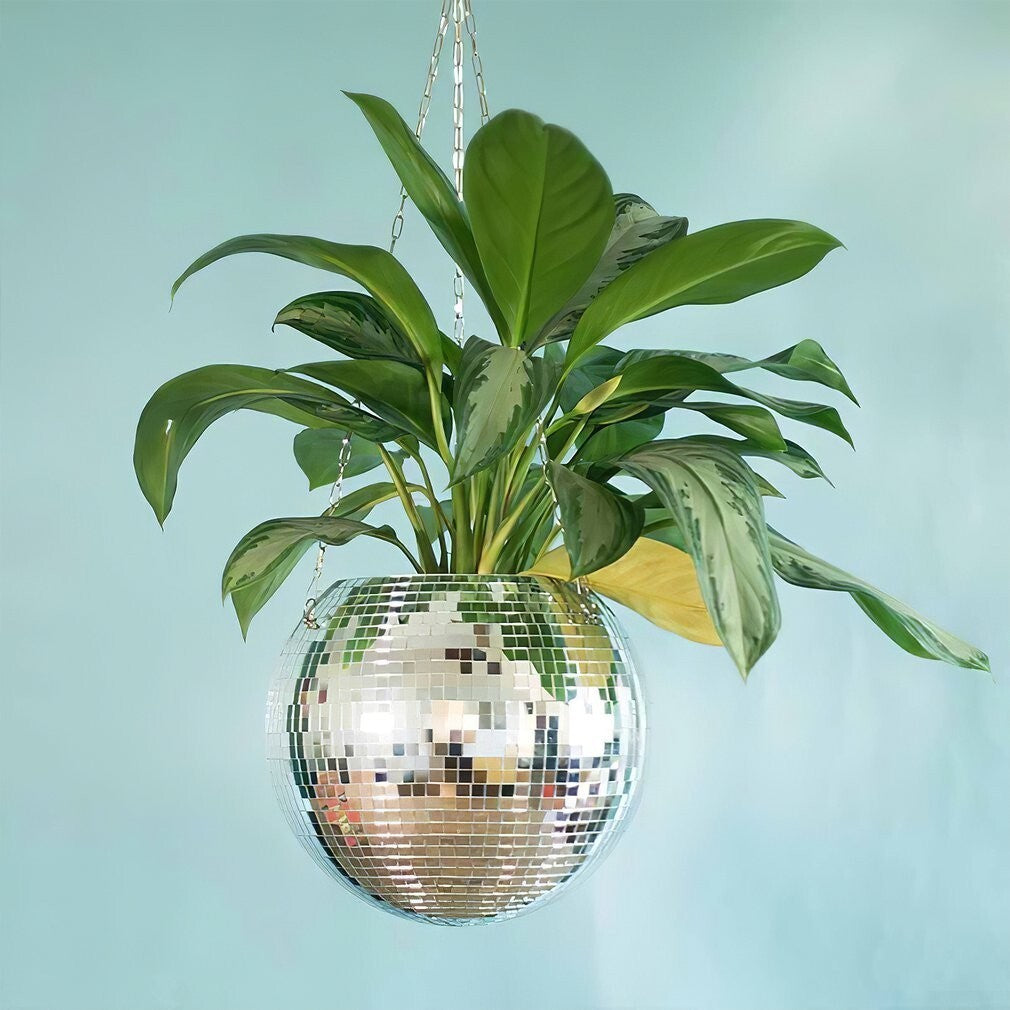 Norvo | Disco Ball Hengende Plante