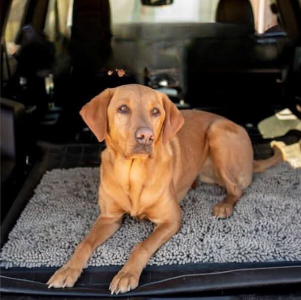 Norvo | FURLINE - Dørmatte for hunder