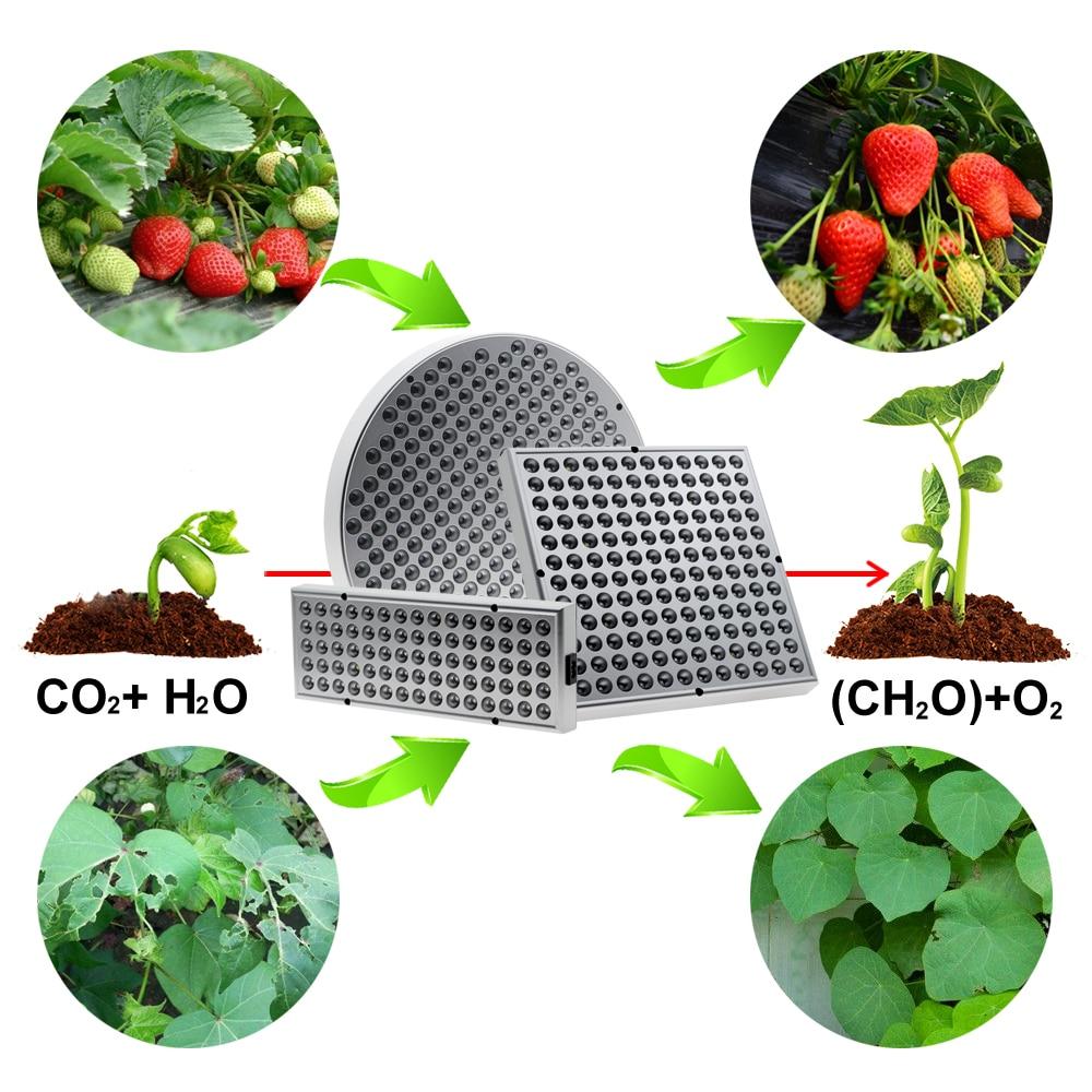 Norvo | Led Vekstlys - Plante Vekstlys