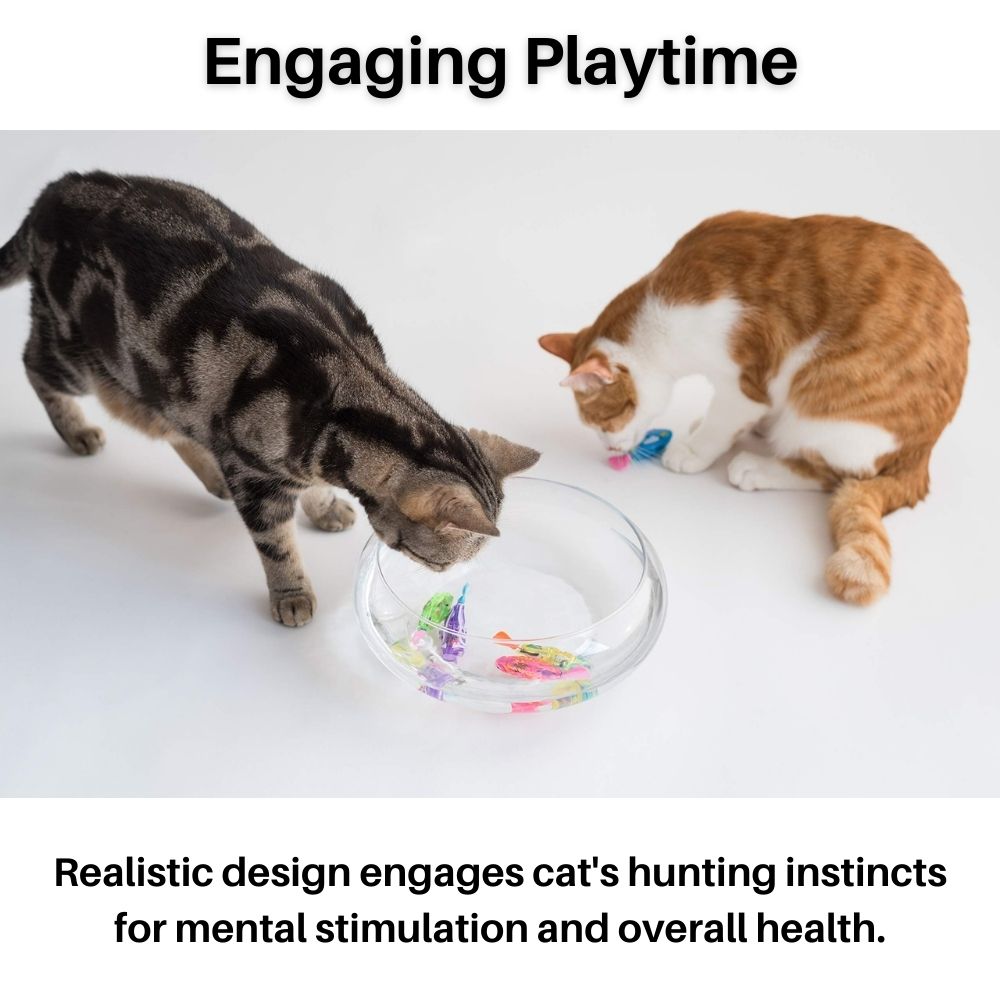 AquaPurr Katt Lekesett Norvo