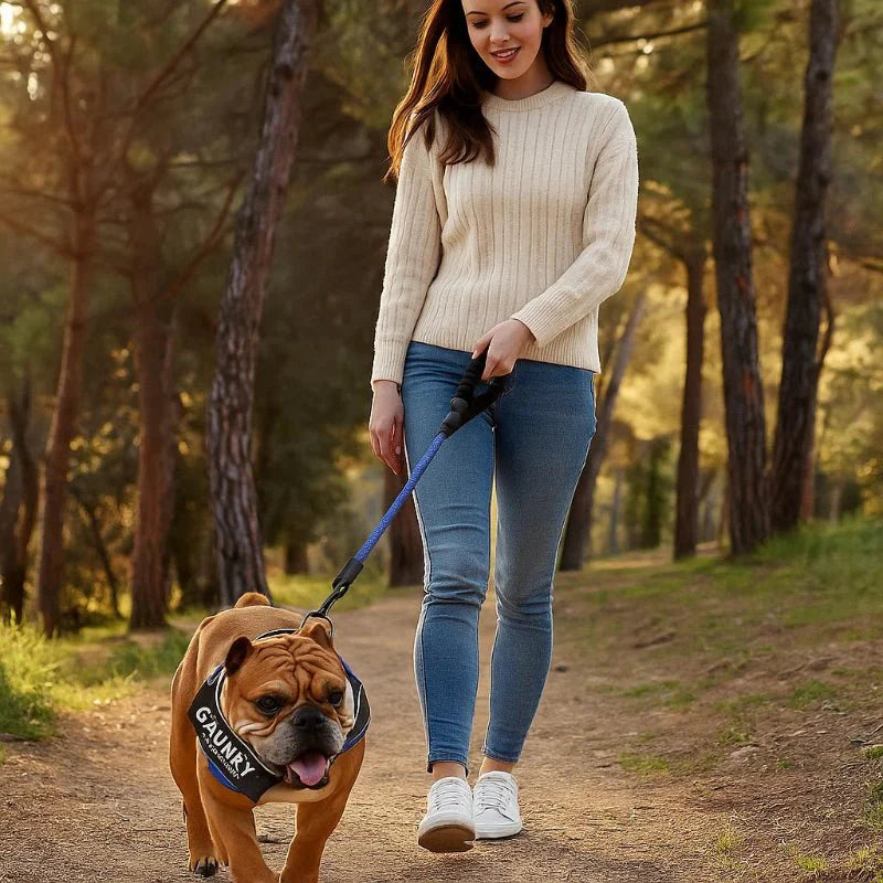 Norvo | Personlig tilpasset hundesele for komfort og sikkerhet