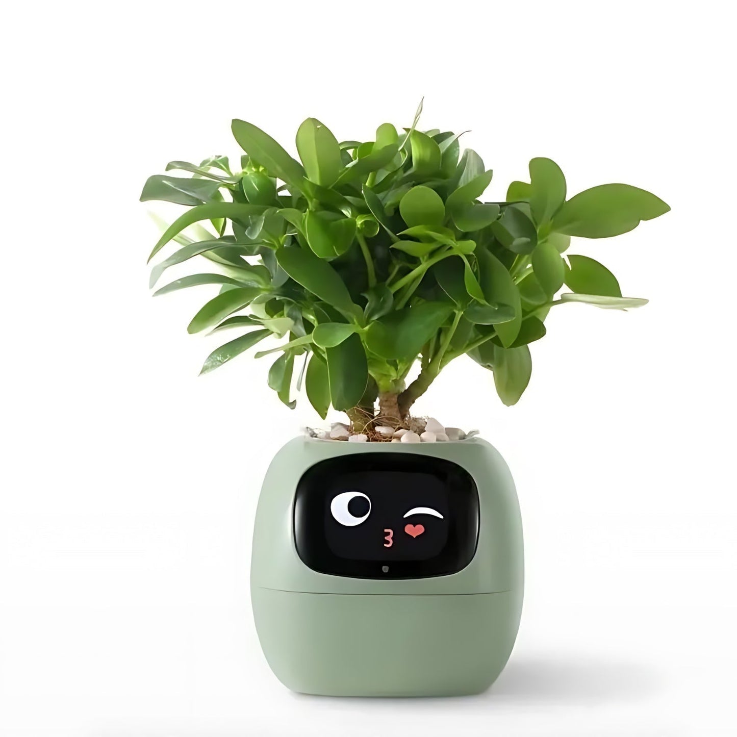Norvo | Automatisk Smart Blomsterpotte - GreenBuddy SmartPot