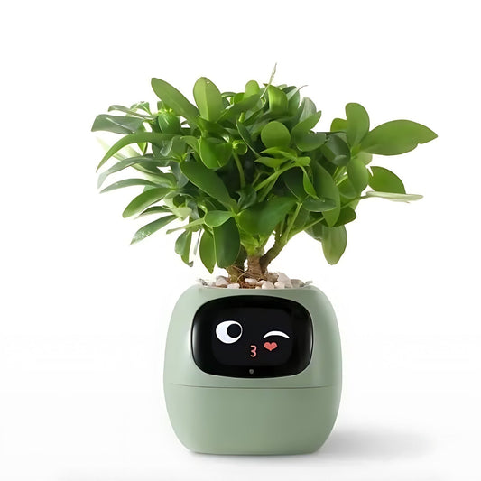 Norvo | Automatisk Smart Blomsterpotte - GreenBuddy SmartPot