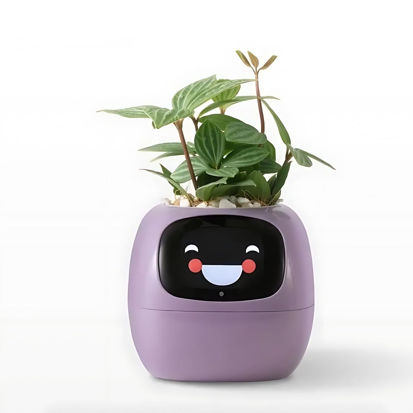 Norvo | Automatisk Smart Blomsterpotte - GreenBuddy SmartPot
