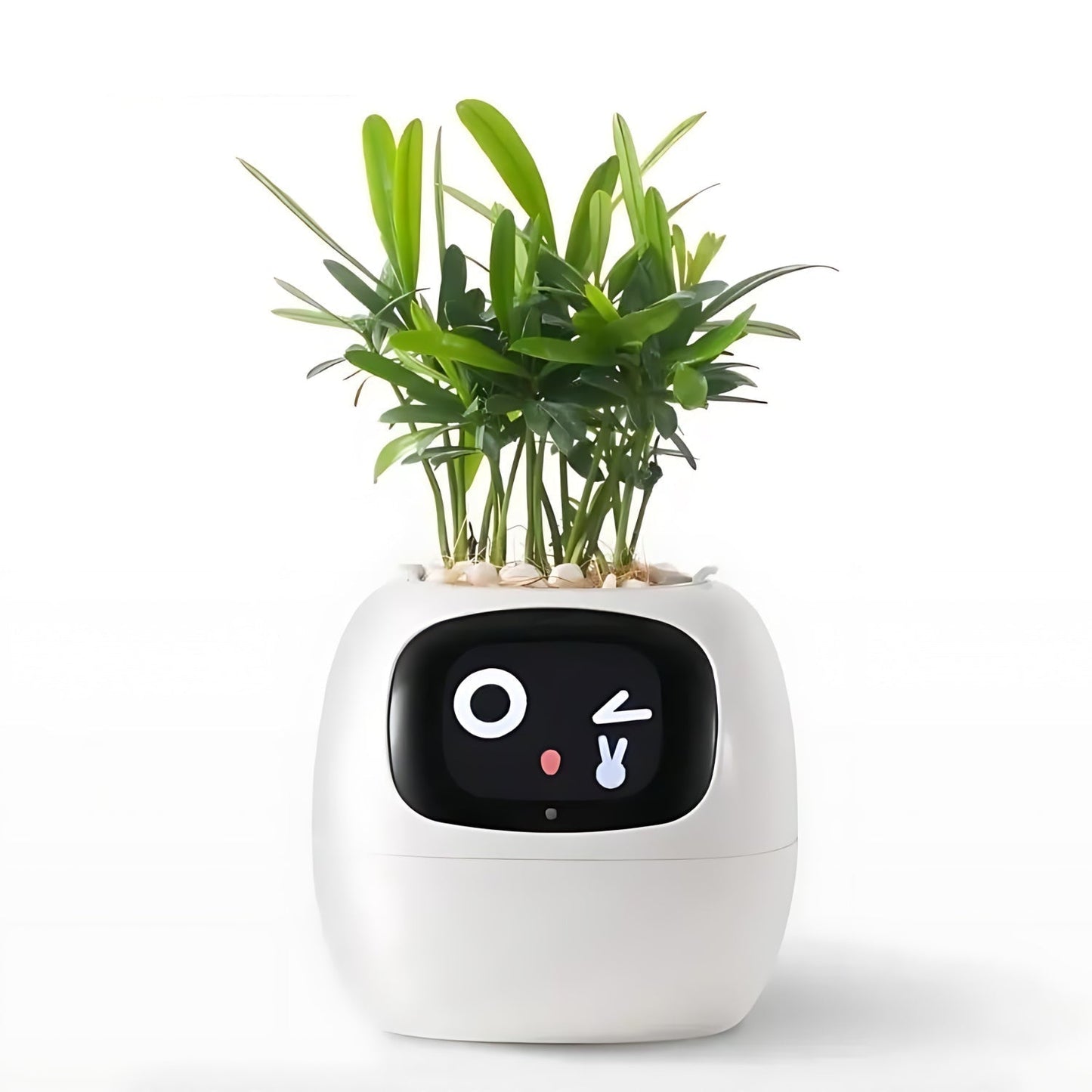 Norvo | Automatisk Smart Blomsterpotte - GreenBuddy SmartPot