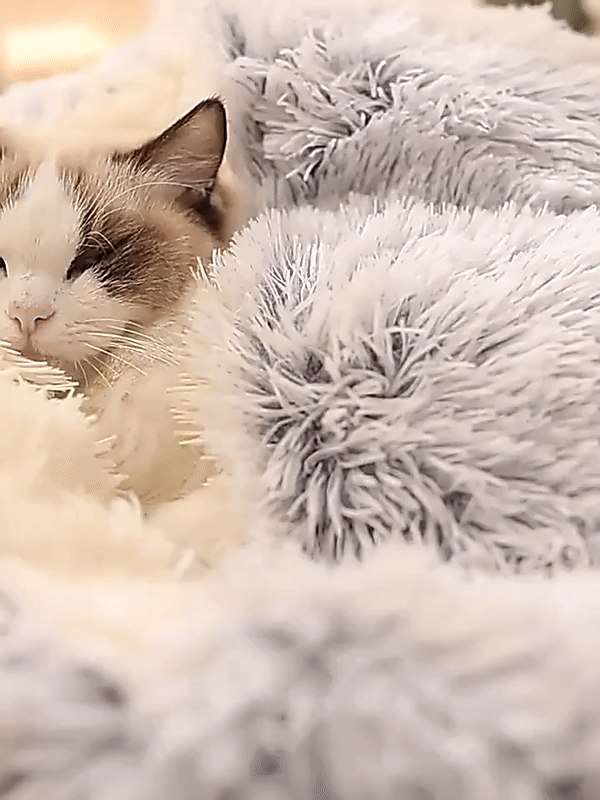 Norvo | Cozy Cave Pet Bed | Beroligende og Komfortabel Hundeseng for Dyp Avslapning