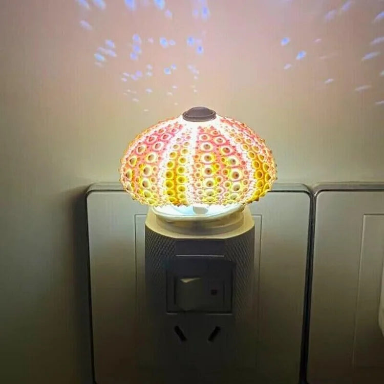 Norvo | LumiCraft – Unik DIY bordlampe med naturlig sjøskjell for en koselig dekor