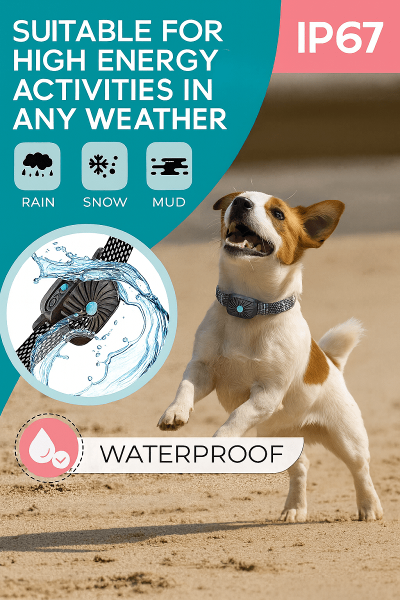 Norvo | BarkLess Nano – Mild anti-barking krage for valper og små hunder