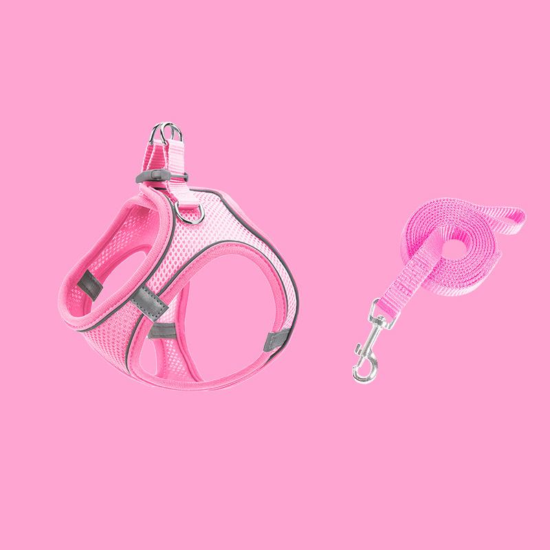 Norvo | Designet for å løfte brystet til kjæledyr