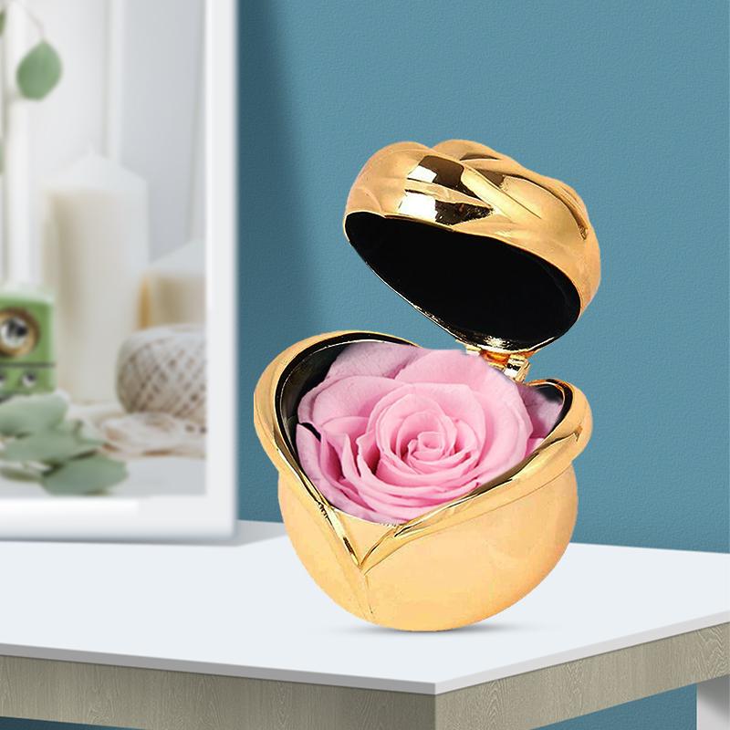 Norvo | Bevarte Blomst Rose