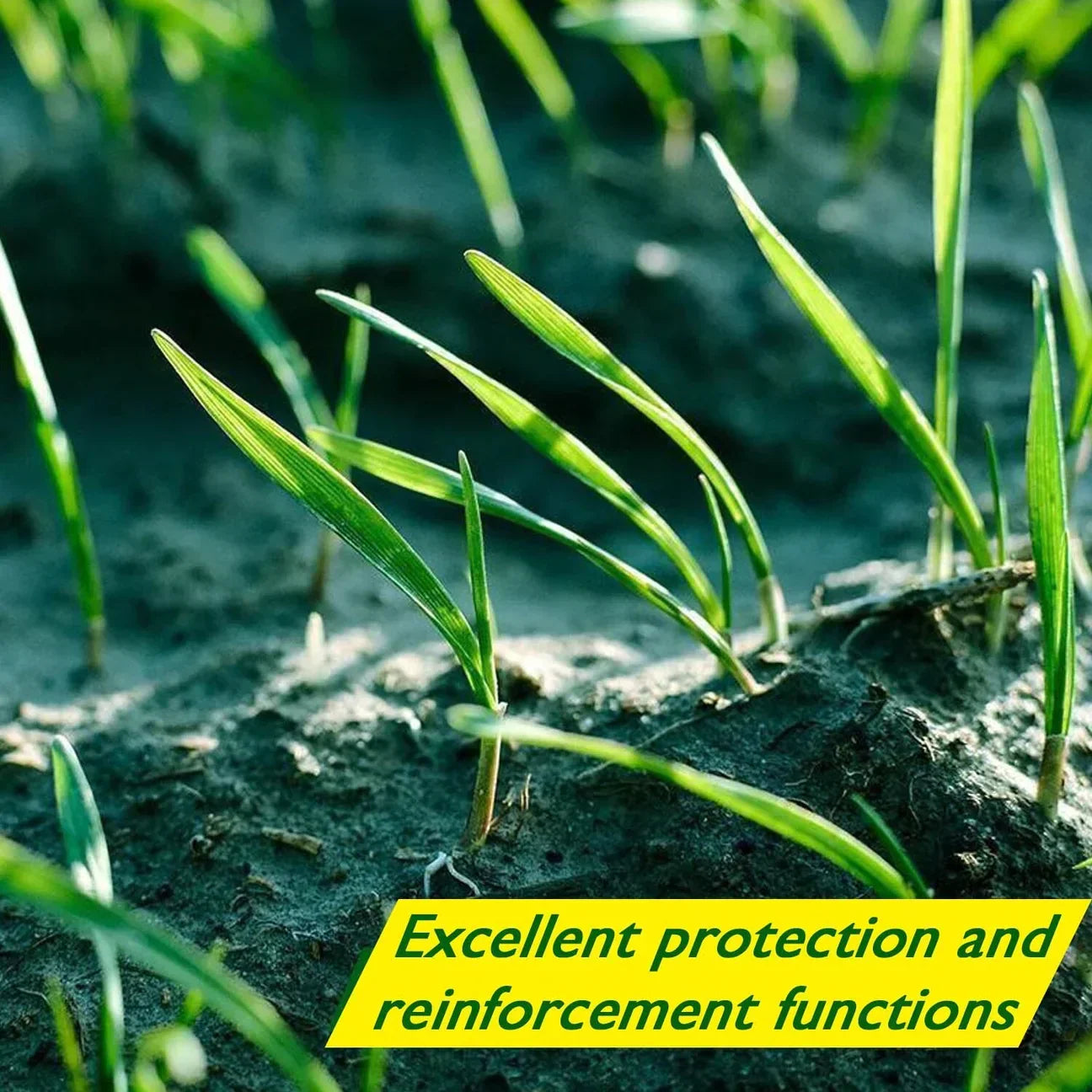 Norvo | Biologisk nedbrytbar nettgressfrømatte | Alt-i-ett vekstsystem for rask spiring i sol, skygge og skråninger