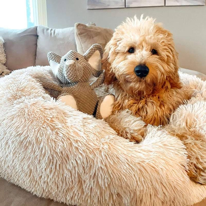 Norvo | Beroligende Hundeseng