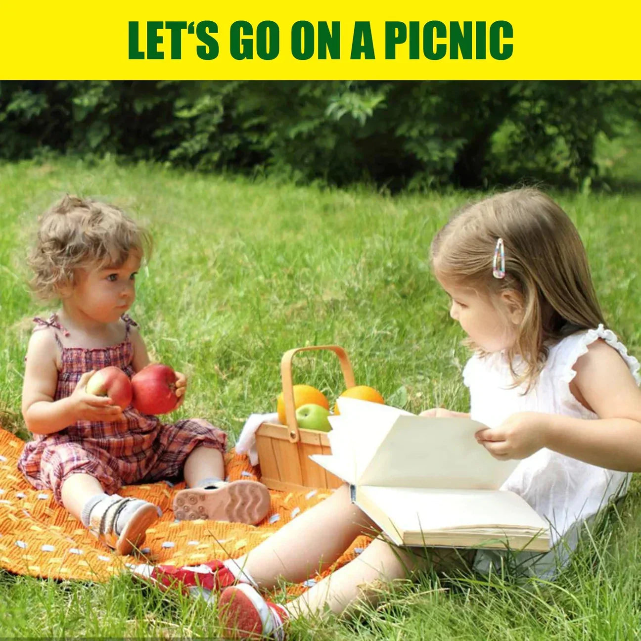 Norvo | Biologisk nedbrytbar nettgressfrømatte | Alt-i-ett vekstsystem for rask spiring i sol, skygge og skråninger