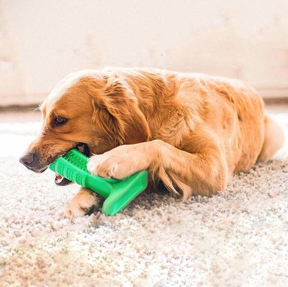 Norvo | Bite n Brush Pet Tannbørste