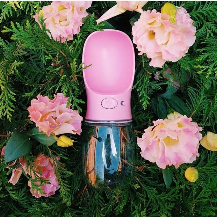 Norvo | Spillproof Pet Water Bottle