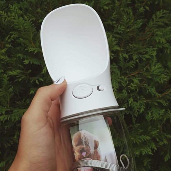 Norvo | Spillproof Pet Water Bottle