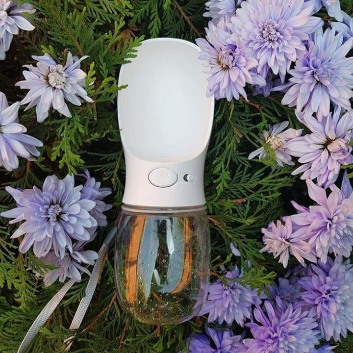 Norvo | Spillproof Pet Water Bottle