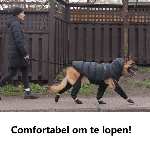Boots for Safe Outdoor Adventures - PawShield Norvo