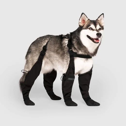 Boots for Safe Outdoor Adventures - PawShield Norvo