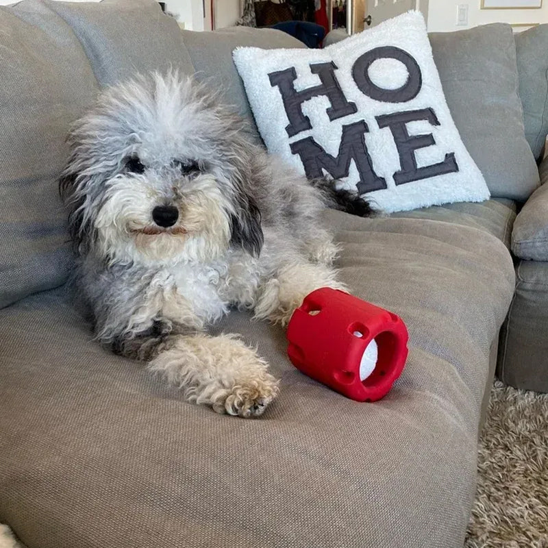 BounceChew - Tannpleie leke for hunder Norvo