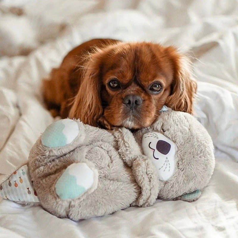 Norvo | Beroligende Pusting Oter Leketøy med Musikk og Lys