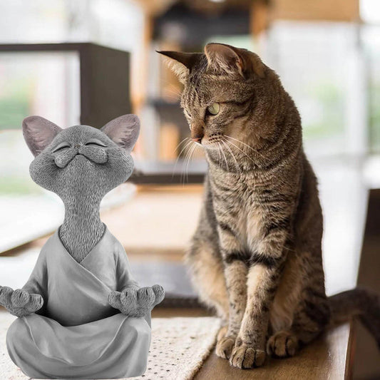 Norvo | Buddha katt med et meditativt uttrykk og spirituell budskap