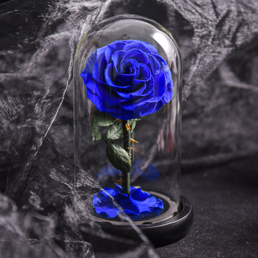 Norvo | Forever Rose, Evig Rose i Glasskuppel, 3 Dagers Leveringstid, Blå