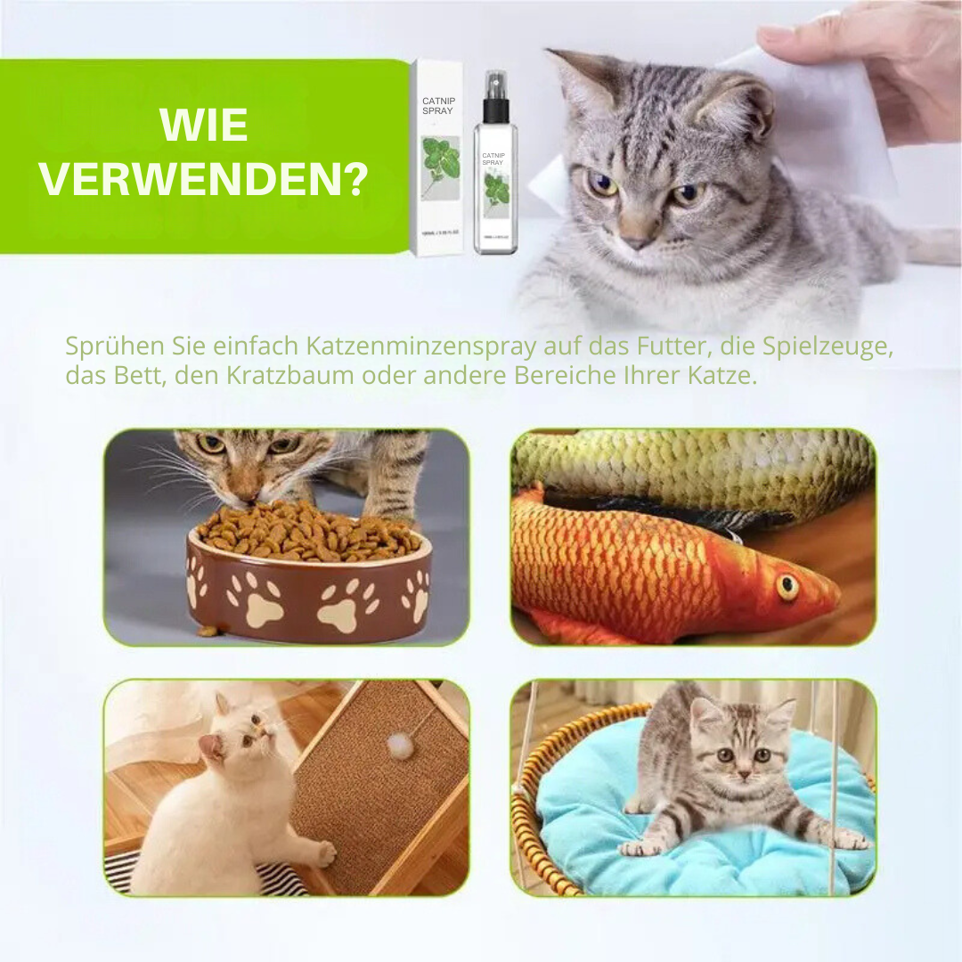 Beroligende katte spray - SilverVine Bliss Spray Norvo